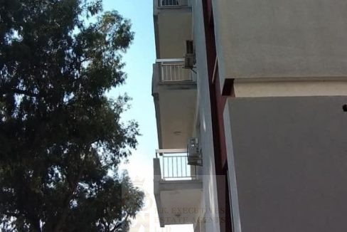 IMG-20210104-WA0006