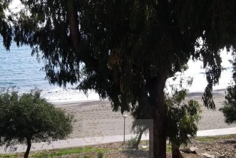 IMG-20210104-WA0021
