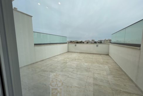 dali-5-photos- (27)