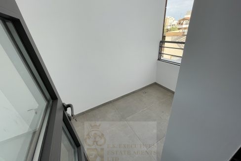 elysium-0- (5)