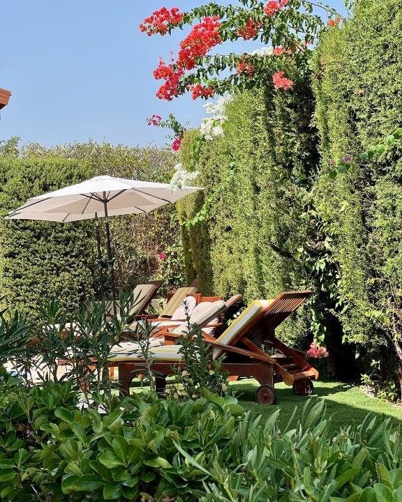 494984123_4009461989341369_822314467752451927_n