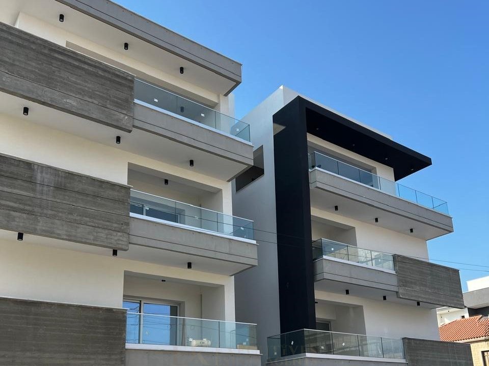 Изображение WhatsApp 2025-02-24 в 11.25.17_d442fe00