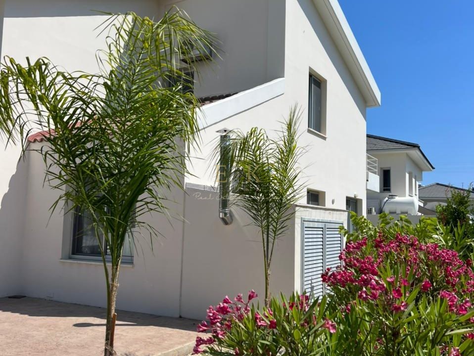 WhatsApp Image 2023-07-25 at 17.25.58