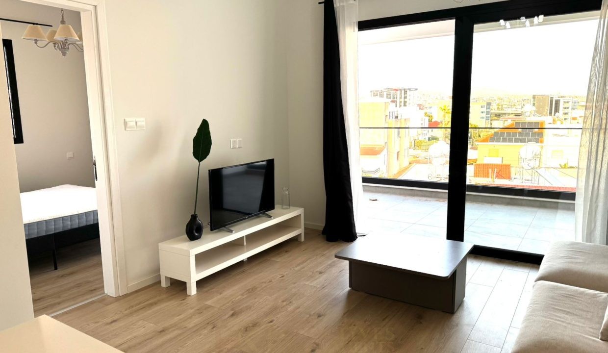 WhatsApp Image 2026-02-11 at 20.42.07