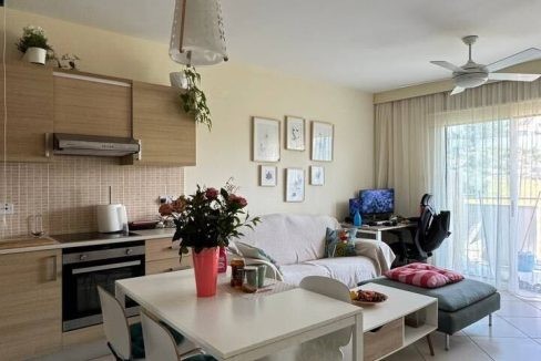 photo_2026-02-13_14-12-01