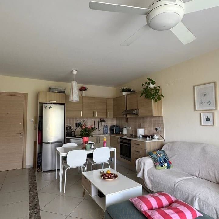 photo_2026-02-13_14-12-02