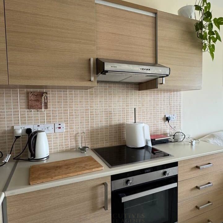 photo_2026-02-13_14-12-08