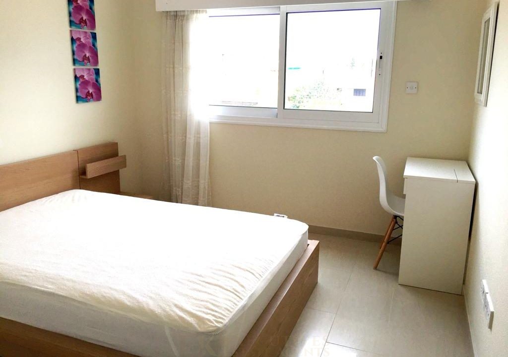 Изображение WhatsApp 2024-01-25 в 15.59.31_a3f1800e