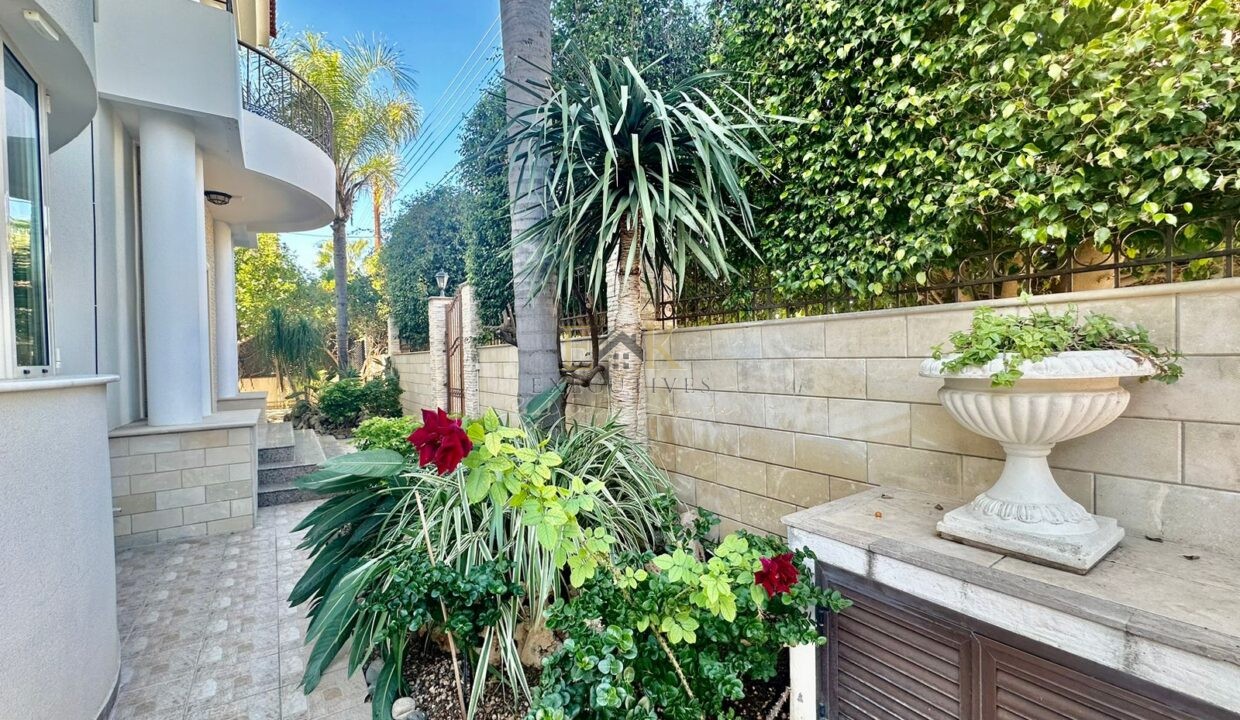 5a11250a-a286-45fc-8723-8f68443572ee