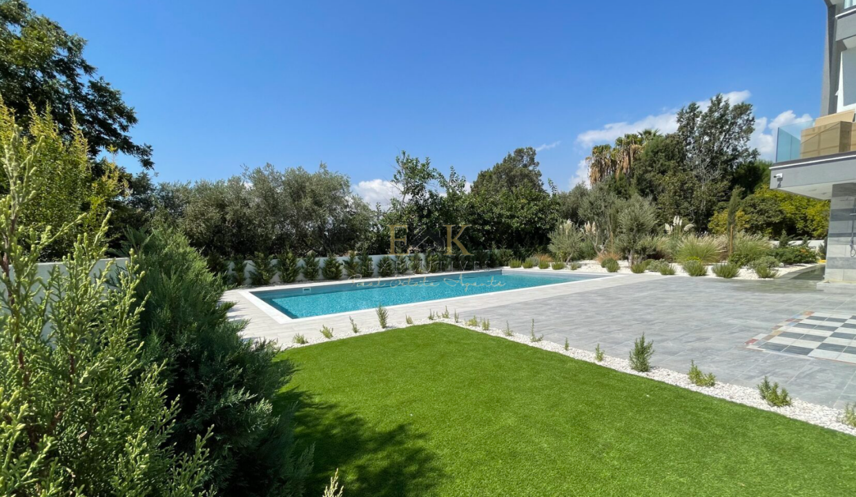 Screenshot 2026-03-17 141836